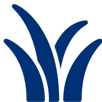 Erba alta